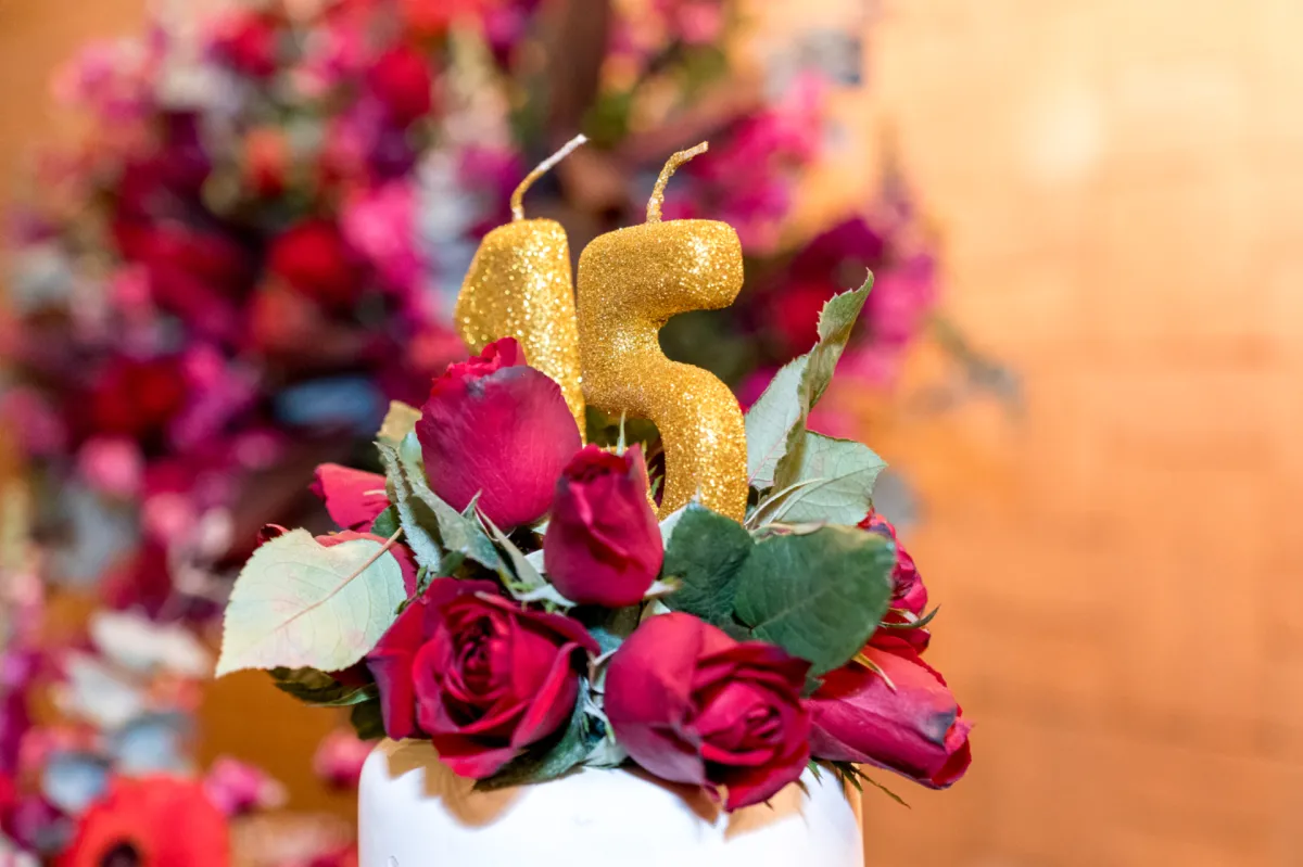 Alana 15 anos - Foto 4