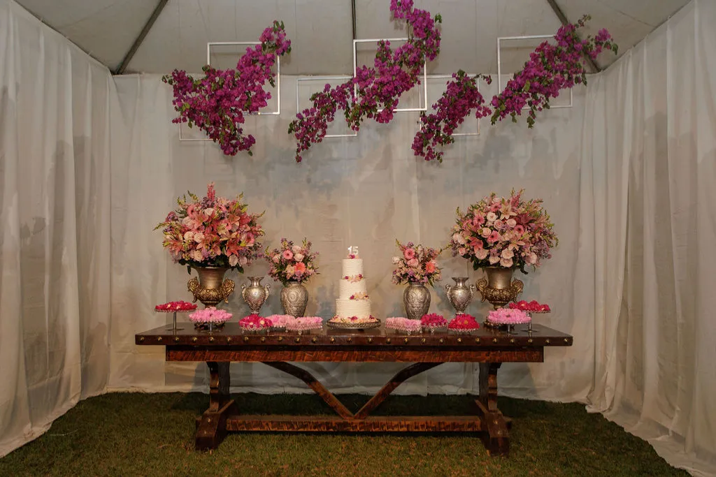 Maria Paula 15 anos - Foto 11